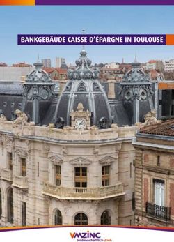 BANKGEB&Auml;UDE CAISSE D'&Eacute;PARGNE IN TOULOUSE - VMZinc