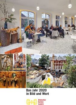 Das Jahr 2020 in Bild und Wort - Gletschergarten Luzern