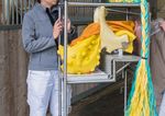 Informationen f&uuml;r Erstsemestrige 2018 - Veterin&auml;rmedizinische Universit&auml;t Wien - Vetmeduni Vienna