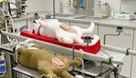 Informationen f&uuml;r Erstsemestrige 2018 - Veterin&auml;rmedizinische Universit&auml;t Wien - Vetmeduni Vienna