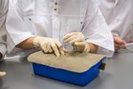 Informationen f&uuml;r Erstsemestrige 2018 - Veterin&auml;rmedizinische Universit&auml;t Wien - Vetmeduni Vienna