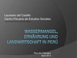 Laureano del Castillo Centro Peruano de Estudios Sociales - Peruanisches Zentrum f&uuml;r soziale Studien