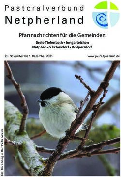 Pfarrnachrichten f&uuml;r die Gemeinden - Dreis-Tiefenbach Irmgarteichen Netphen Salchendorf Walpersdorf - Pfarrei Deutschland