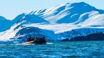Kreuzfahrt Norwegen mit Nordkap und Spitzbergen - Wirz Travel