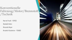 Konventionelle Fahrzeug/Motor/Brennstoff /Technik - Marvin Preu&szlig; - 921922 Kostadin Kutev Riccardo Meyer Krasimir Krasimirov 924083