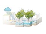 Regenwasser in der Stadt - Technologie Report - Wirtschaftsagentur Wien