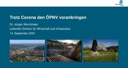Trotz Corona den &Ouml;PNV voranbringen - Dr. J&uuml;rgen Wurmthaler Leitender Direktor f&uuml;r Wirtschaft und Infrastruktur 14. September 2021 - Deutsche ...