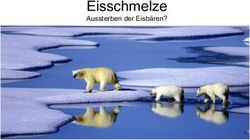 Eisschmelze Aussterben der Eisb&auml;ren? - GBG Kaarst
