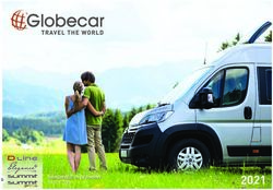 HANDMADE IN GERMANY SINCE 2004 - Reisemobile von Globecar