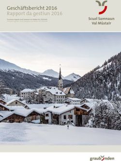 Gesch&auml;ftsbericht 2016 Rapport da gestiun 2016 - Engadin ...