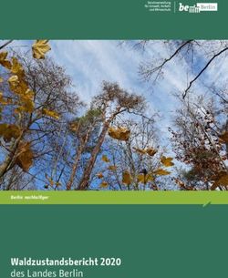 Waldzustandsbericht 2020 - des Landes Berlin Berlin: nachhaltiger