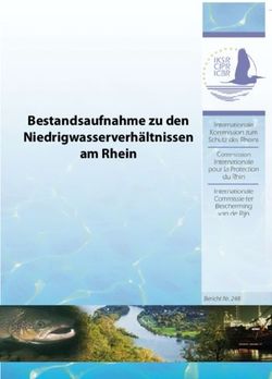 Bestandsaufnahme zu den Niedrigwasserverhältnissen am Rhein - Bericht Nr. 248 - IKSR