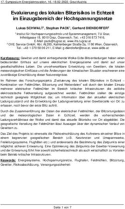 Evaluierung des lokalen Blitzrisikos in Echtzeit im Einzugsbereich der Hochspannungsnetze - TU Graz