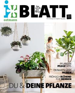 Pflanze BLATT - DU & DEINE PFLANZE - ostmann - Blumen Ostmann