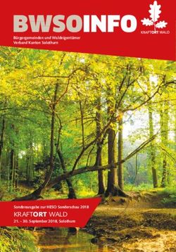 BWSOINFO - KRAFTORT WALD Sonderausgabe zur HESO Sonderschau 2018 - Bürgergemeinden und Waldeigentümer Verband Kanton Solothurn - Holzenergie Schweiz