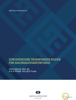 EUROP&Auml;ISCHER TRANSPARENZ KODEX F&Uuml;R NACHHALTIGKEITSFONDS - Informationen &uuml;ber die H & A PRIME VALUES Fonds
