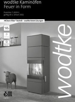 WODTKE KAMINÖFEN FEUER IN FORM - HICLEAN-FILTER TECHNIK - WODTKE BIETET LÖSUNGEN PREISLISTE 7-2020-1 GÜLTIG AB 1. JANUAR 2021