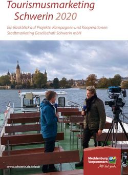 Tourismusmarketing Schwerin 2020 - Ein R&uuml;ckblick auf Projekte, Kampagnen und Kooperationen Stadtmarketing Gesellschaft Schwerin mbH