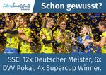 Tourismusmarketing Schwerin 2020 - Ein R&uuml;ckblick auf Projekte, Kampagnen und Kooperationen Stadtmarketing Gesellschaft Schwerin mbH