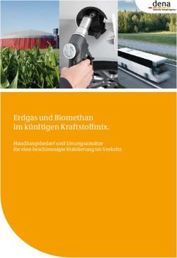 Erdgas und Biomethan im künftigen Kraftstoffmix - Handlungsbedarf und Lösungsansätze für eine beschleunigte Etablierung im Verkehr - VEW Saar