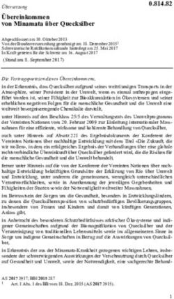 &Uuml;bereinkommen von Minamata &uuml;ber Quecksilber - &Uuml;bersetzung