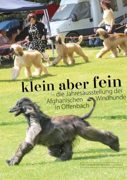 Klein aber fein - die Jahresausstellung der Afghanischen Windhunde in Off enbach