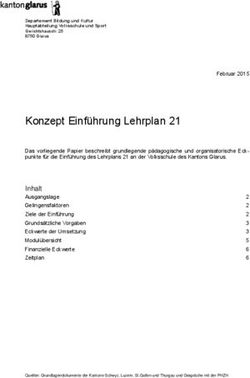 Konzept Einf&uuml;hrung Lehrplan 21