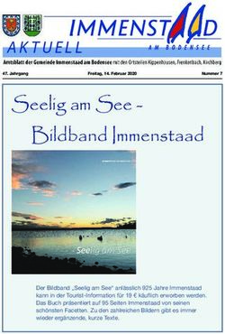 Seelig am See - Bildband Immenstaad