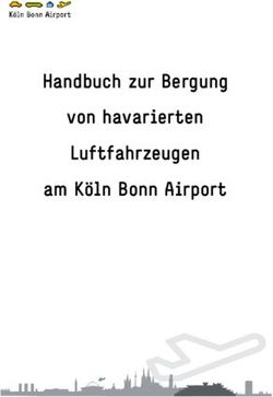 Handbuch zur Bergung von havarierten Luftfahrzeugen am K&ouml;ln Bonn Airport