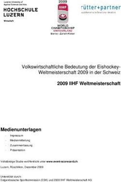 Volkswirtschaftliche Bedeutung der Eishockey-Weltmeisterschaft 2009 in der Schweiz - Event Analytics