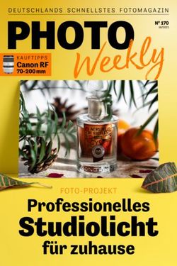 Studiolicht Professionelles f&uuml;r zuhause - FOTO-PROJEKT - Foto Hauenstein