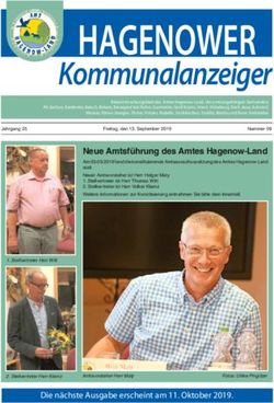 Hagenower Kommunalanzeiger - Amt Hagenow-Land