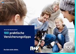 100 praktische Versicherungstipps - IM ALLTAG NICHT ALLEIN - Volksbank Limbach eG