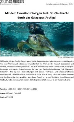 Mit dem Evolutionsbiologen Prof. Dr. Glaubrecht durch das Galapagos-Archipel - ZEIT Reisen