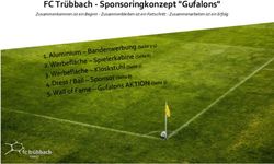 FC Tr&uuml;bbach - Sponsoringkonzept "Gufalons" - Zusammenkommen ist ein Beginn - Zusammenbleiben ist ein Fortschritt - Zusammenarbeiten ist ein Erfolg ...