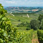 Piemont! Die Langhe - mehr als Wein, Trüffel & Käse - Wandern und Wein in Italien