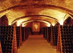 Piemont! Die Langhe - mehr als Wein, Trüffel & Käse - Wandern und Wein in Italien