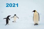 UNSERE AKTIVITÄTEN 2019 / 2020 IM ÜBERBLICK - Antarctic Research Trust