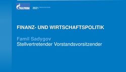 FINANZ- UND WIRTSCHAFTSPOLITIK - Famil Sadygov Stellvertretender Vorstandsvorsitzender