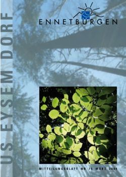 MITTEILUNGSBLATT NR 75 M&Auml;RZ 2009 - Ennetb&uuml;rgen