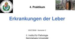 Erkrankungen der Leber - Praktikum - Institut f&uuml;r Pathologie Semmelweis Universit&auml;t