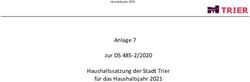 Anlage 7 zur DS 485-2/2020 Haushaltssatzung der Stadt Trier f&uuml;r das Haushaltsjahr 2021