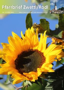 Pfarrbrief Zwettl/Rodl - Nr. 2 (120) 2020