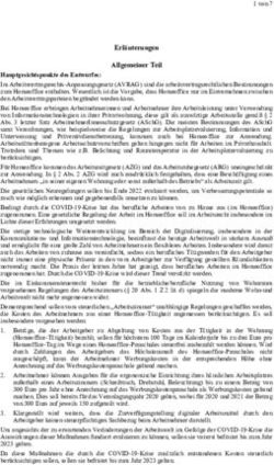 Erl&auml;uterungen Allgemeiner Teil - RIS