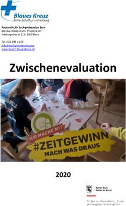 Zwischenevaluation 2020 - Blaues Kreuz Bern-Solothurn-Freiburg