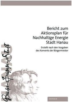 Bericht zum Aktionsplan für Nachhaltige Energie Stadt Hanau - Erstellt nach den Vorgaben des Konvents der Bürgermeister