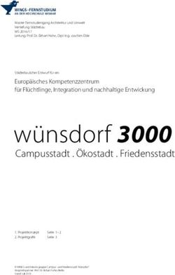 W&uuml;nsdorf 3000 Campusstadt . &Ouml;kostadt . Friedensstadt - Ekhart Hahn