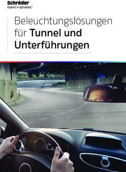 Beleuchtungsl&ouml;sungen f&uuml;r Tunnel und - Unterf&uuml;hrungen Sichere und zuverl&auml;ssige L&ouml;sungen mit hohem Mehrwert