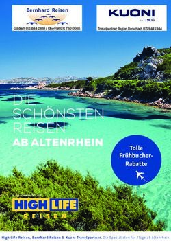 DIE SCH&Ouml;NSTEN REISEN AB ALTENRHEIN