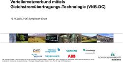 Verteilernetzverbund mittels Gleichstromübertragungs-Technologie (VNB-DC)